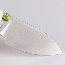 Raccoon Cub - Liner Lock Knife (2.34" 14C28N Blade & G10 Handle) - A3603