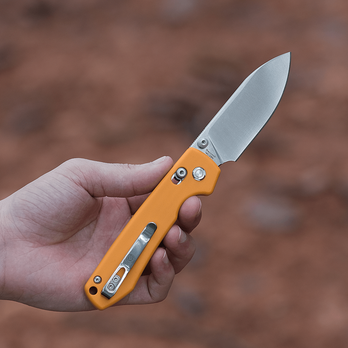 Raccoon - Crossbar Lock knife (3.25" 14C28N Blade & G10 Handle) - RCCB32VTGY